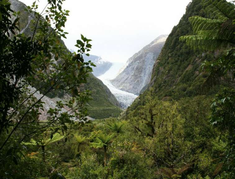 Fox Glacier