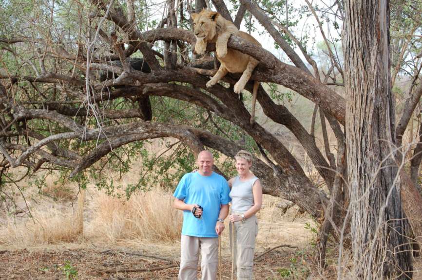 Zimbabwe: Lion Walk