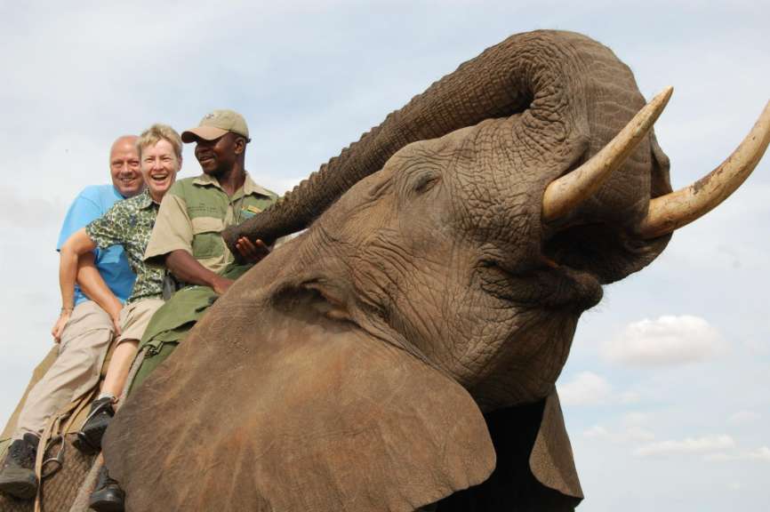 Zimbabwe: Elephant Back Safari