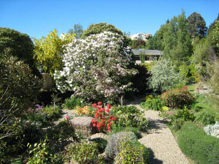 Der Garten von Rosie und Blair