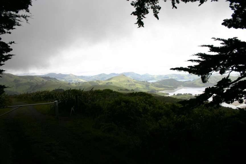 Küste bei Dunedin