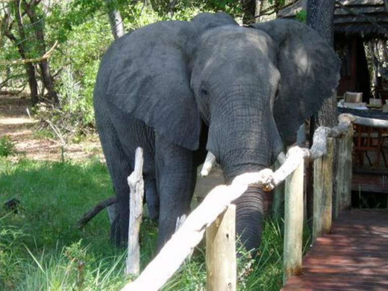 Besuch in der Nxabega Lodge