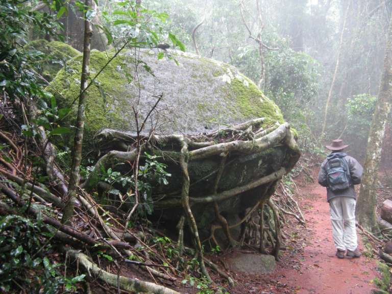 Lamington Nationalpark