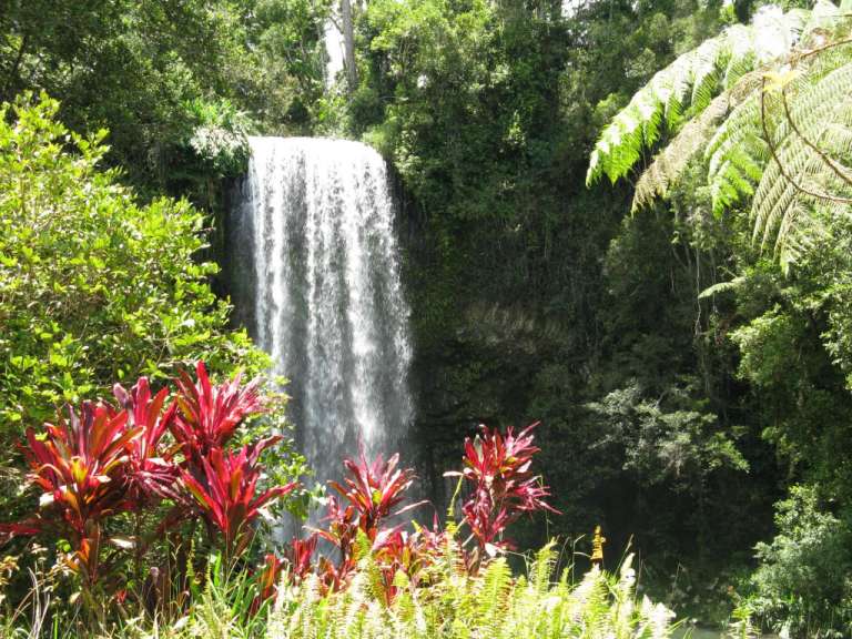 Atherton Tableland - Millaa Millaa Falls