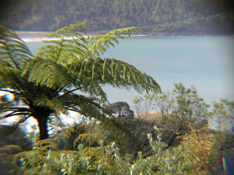 Blick auf die Hicks Bay