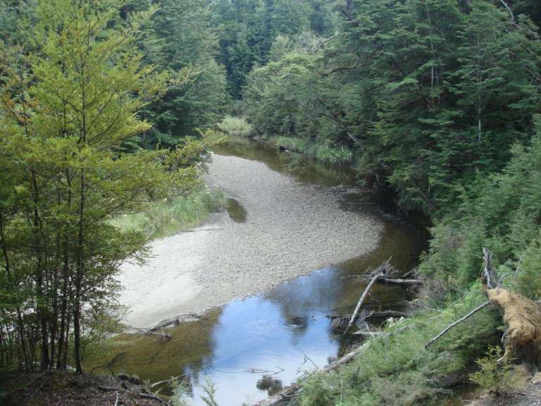 Blickwinkel im Fjordland National Park