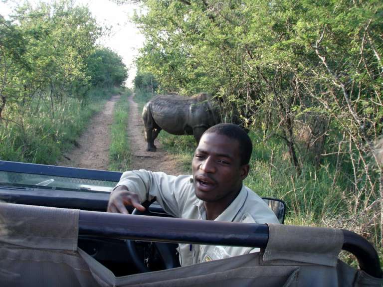 Ein Mann sitzt in einem Auto und zeigt auf ein Nashorn