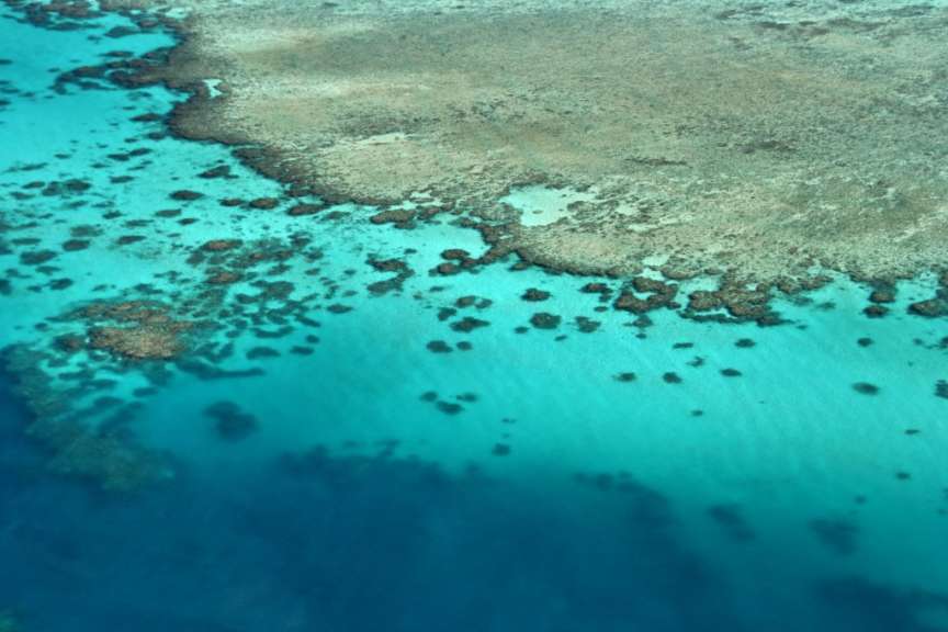 Cairns: Helikopter-Flug über das Outer Reef (23.11.07)