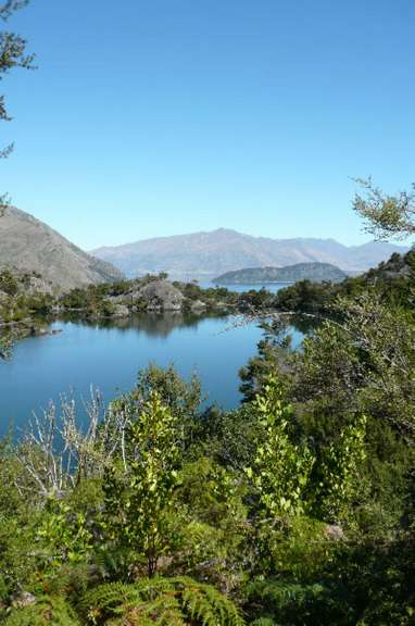 Arethusa Pool auf der Insel Mou Wahu, Lake Wanaka