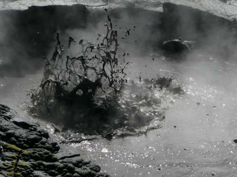 Kochendes Schlammloch im Kairua Park, Rotorua