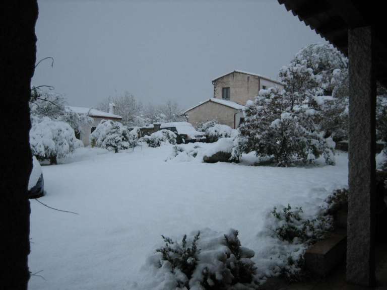 Ein schneebedeckter Garten mit einem Haus im Hintergrund