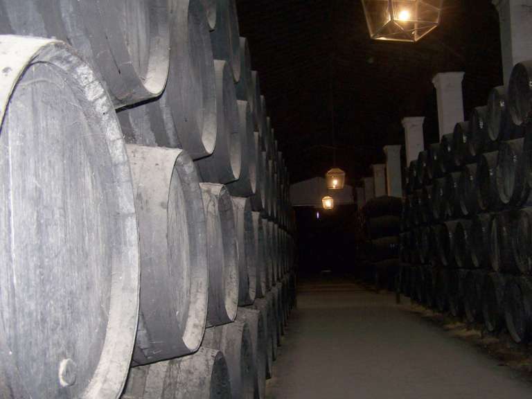 Bodega Tio Pepe
