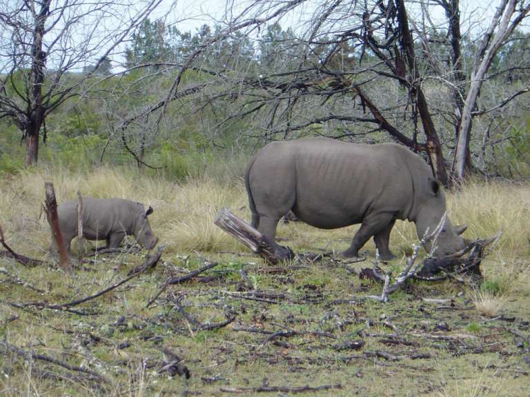 PB Game Reserve