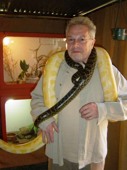 Hermann und die Schlangen