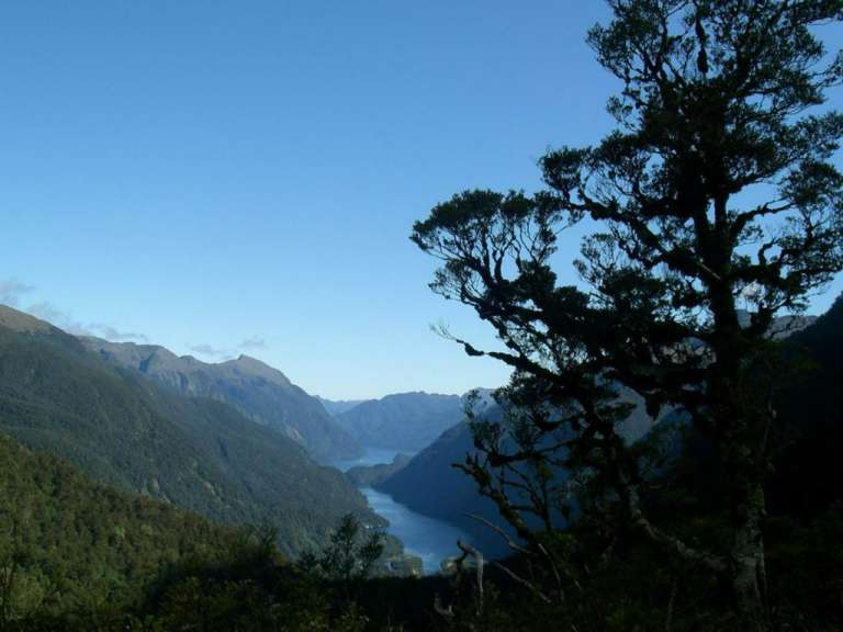 Blick auf den Doubtful Sound