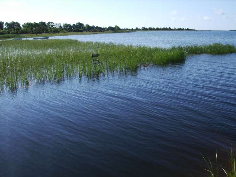 Natur pur auf der Insel Muhu