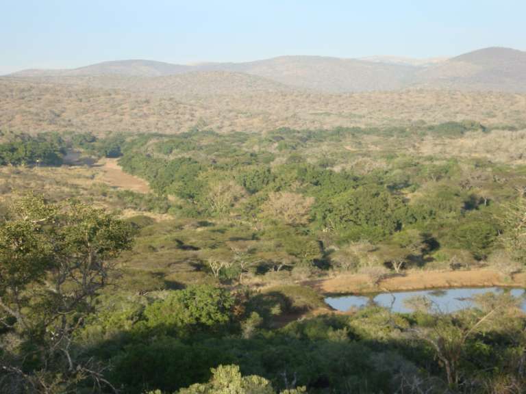 Im Zulu Rhino Reserve