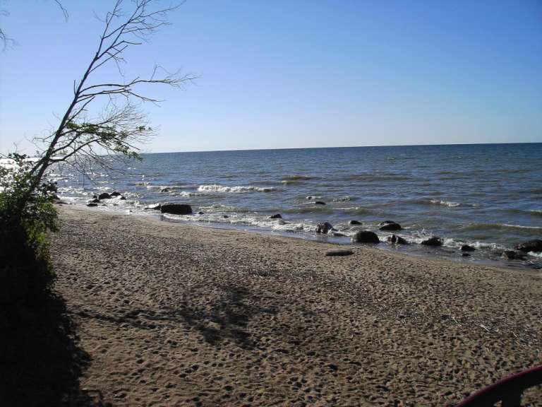 Ein Strand mit Felsen und einem Baum im Hintergrund
