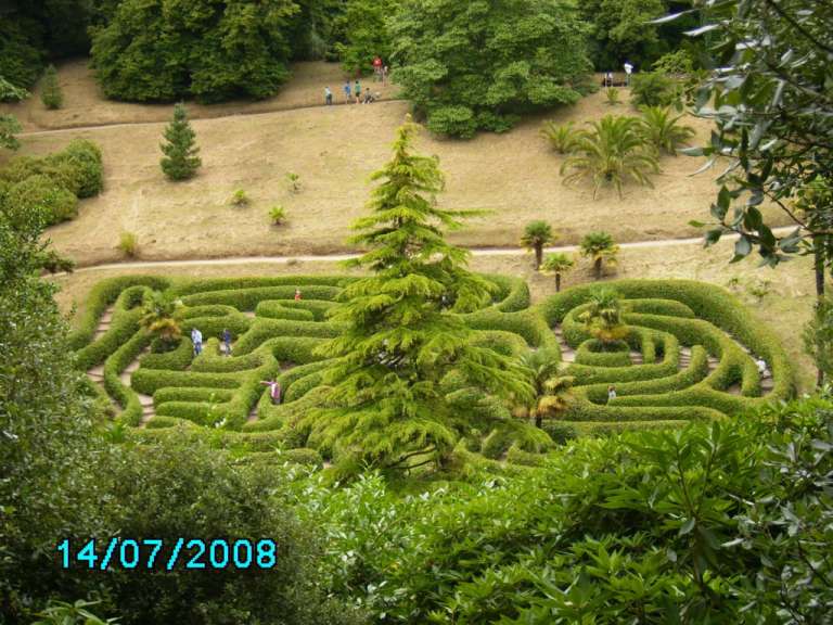Glendurgan Gardens: Labyrinth aus Loorbeerhecken
