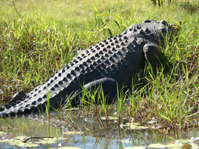 Kakadu Nationalpark