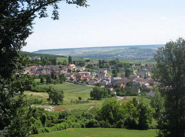 Blick über die Weinberge
