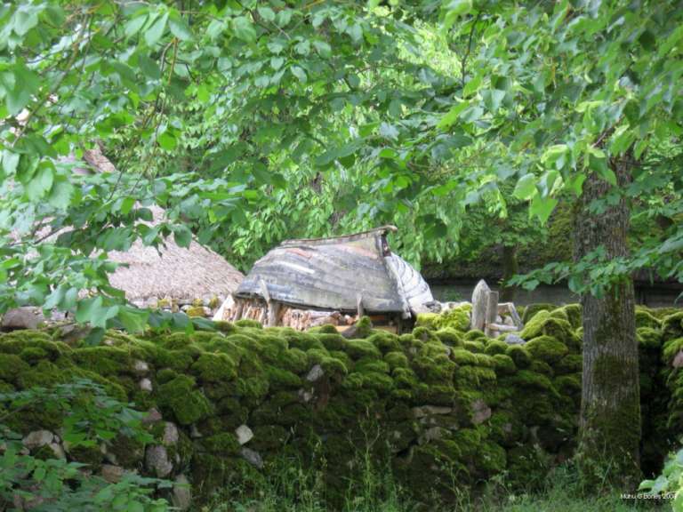 Muhu