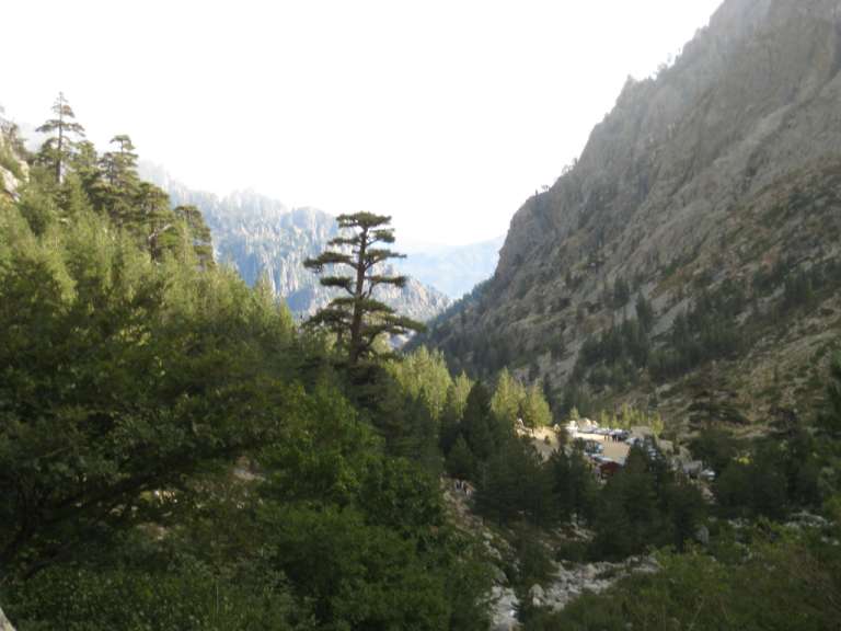 Eine Gruppe von Menschen geht durch einen Wald in den Bergen