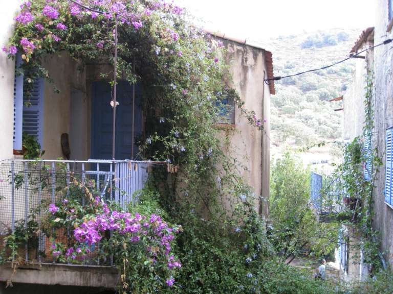Pigna