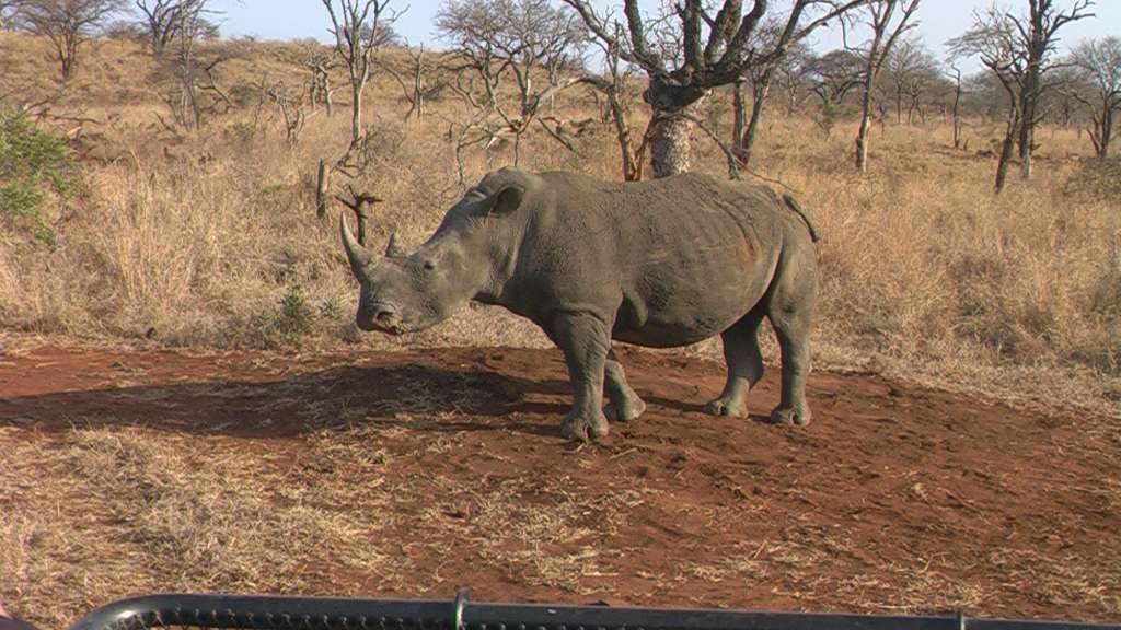 Mkhaya Game Reserve