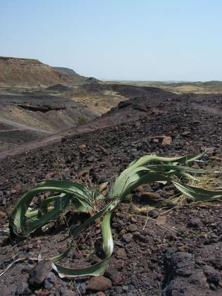 Verbannter Berg bei Twyfelfontein