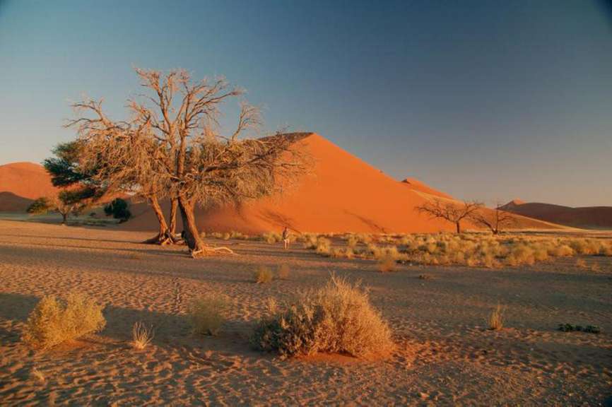 Sossusvlei Düne 45
