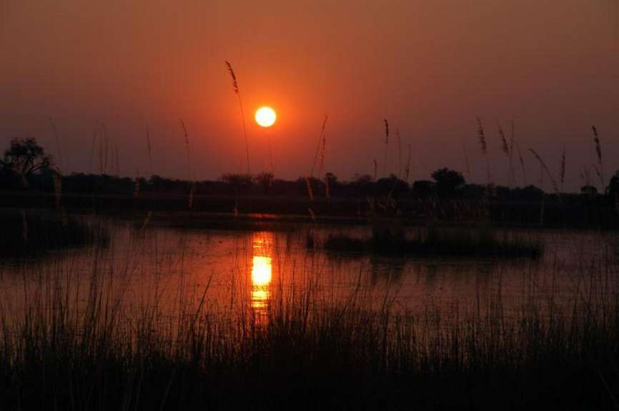 Sundown im Okovango Delta