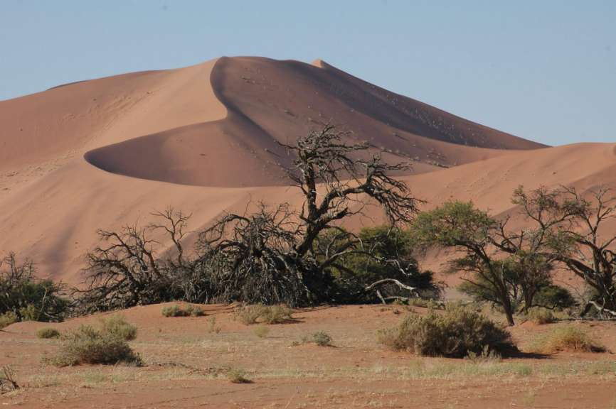 Dünen im Sossusvlei