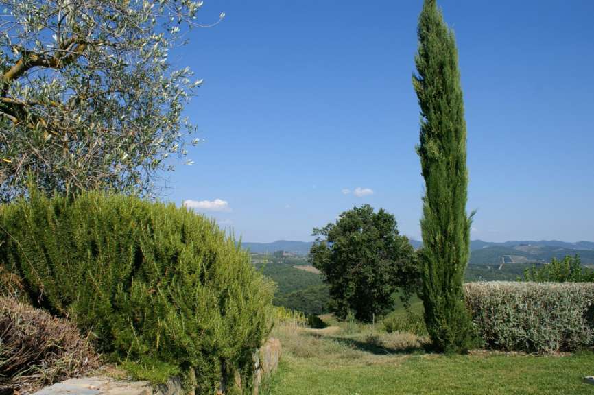 Landschaft bei Sienna