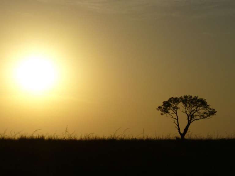 Sonnenaufgang im Ithala Park