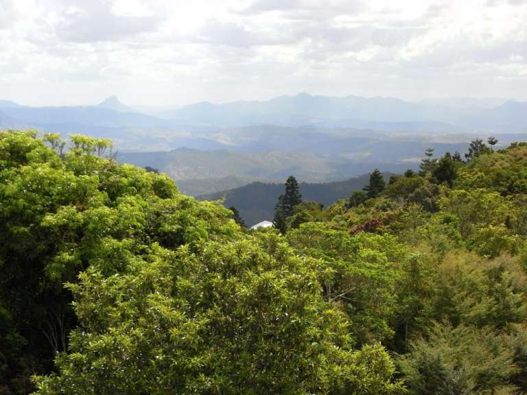 Ein Blick auf eine Bergkette mit Bäumen im Vordergrund