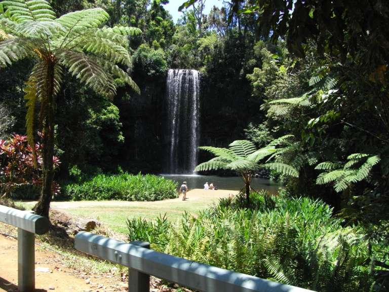 Menschen stehen vor einem Wasserfall im Dschungel