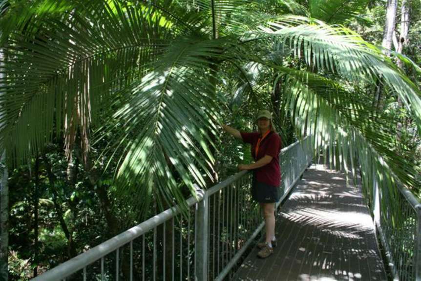 Daintree Rainforest Walk