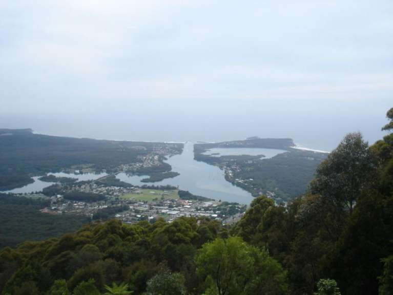 Lookout North Brother (H. 487m) bei Laurieton