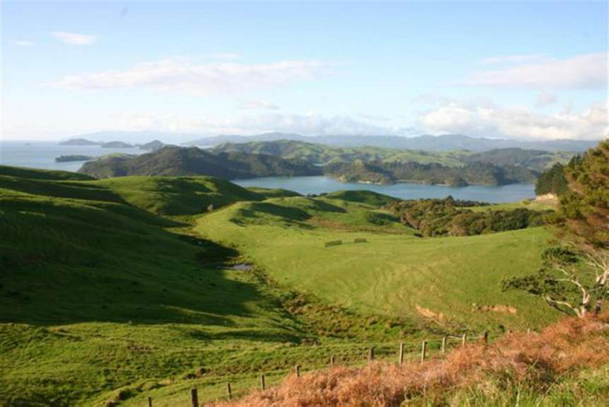 Coromandel
