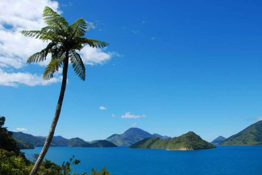 Marlborough Sounds (Nähe Elaine Bay)