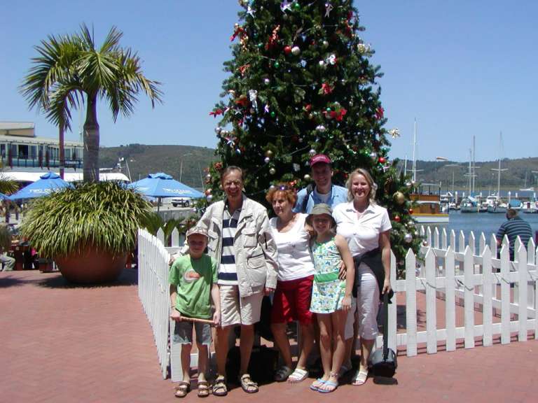 Ein Weihnachtsbaum in Knysna