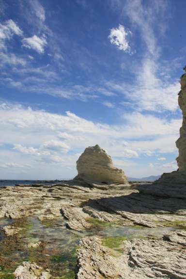02.01.09 - Kaikoura - Peninsula: Walkway