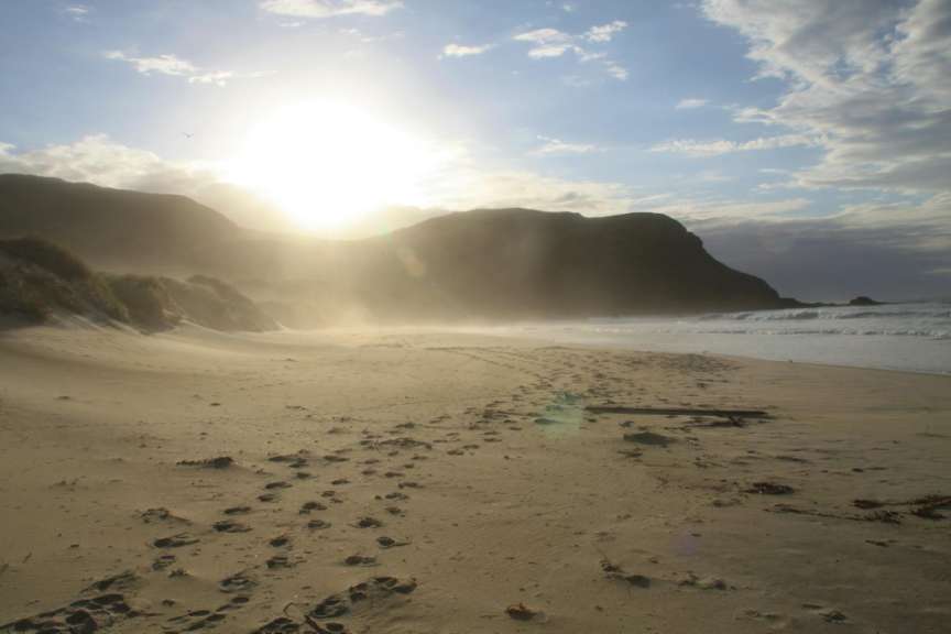 13.01.09 - Otago Peninsula: Penguin Tour (Sandfly Bay)
