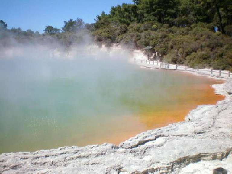 Ein großer Teich mit grünem Wasser und einem orangefarbenen Rand .