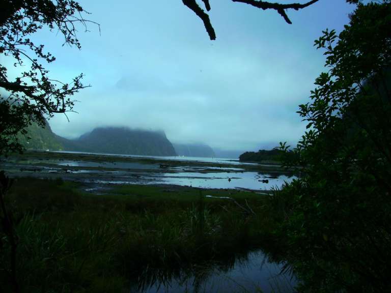 Milford Sound