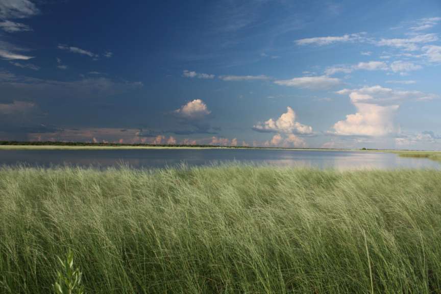 Die Etosha Pfanne ist voll Wasser.
