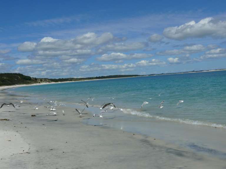 Traumhafter Strand ganz im Norden
