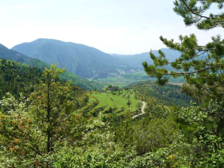 Ein Tal mit Bäumen und Bergen im Hintergrund