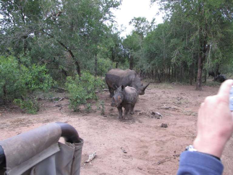 Swaziland